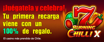 Exclusive promotions from Kino Casino