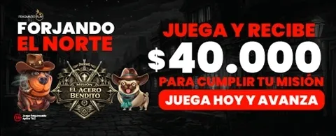 Kino Casino Agent Partner